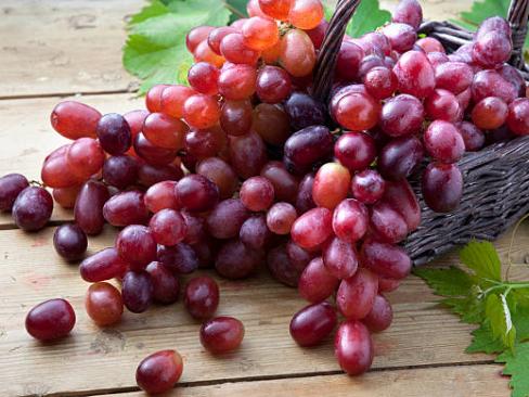 Grape Red Seedless