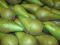 Pear Conference