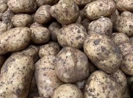 Potato Marfona