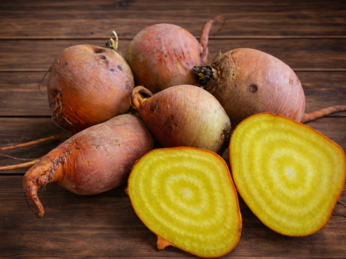 Beetroot Golden Globe