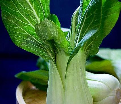 Pak-Choi