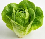Lettuce Green