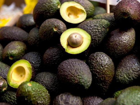 Avocado Hass