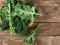 Kale Green
